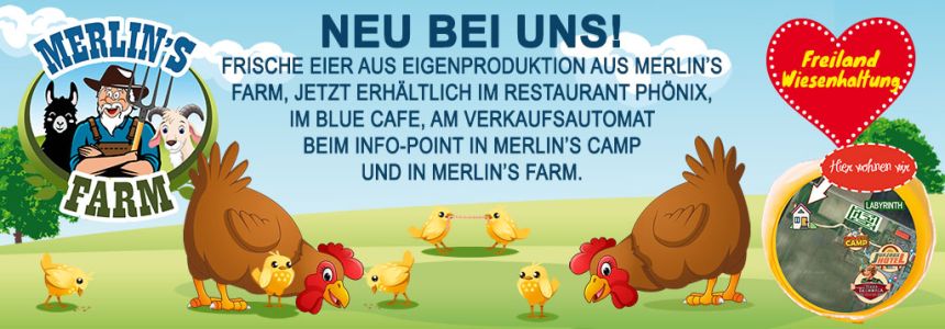 Eier aus Merlin's Farm