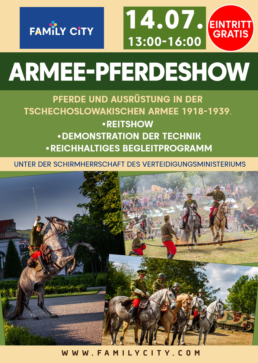 Armee-Pferdeshow