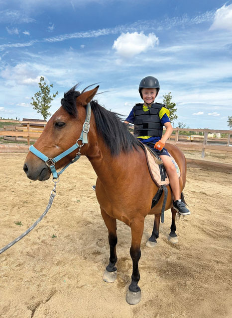 Pferde Reiten
